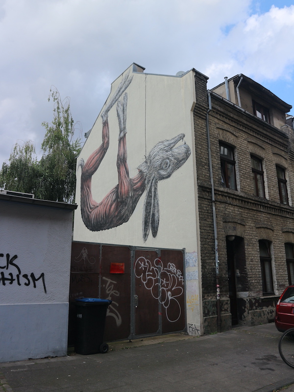 ROA street art in Cologne Germany