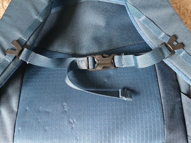 The shoulder straps. Patagonia Blackhole backpack 23l